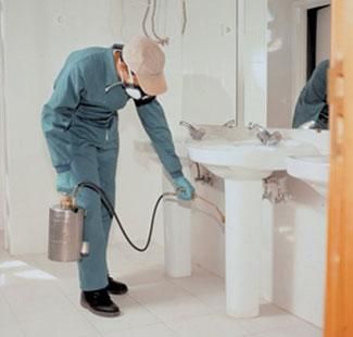 Desratizaciones Sur S.L. persona realizando fumigación