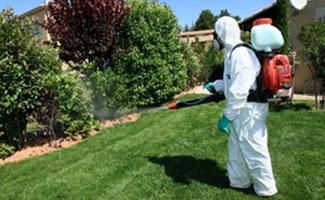Desratizaciones Sur S.L. hombre realizando fumigación