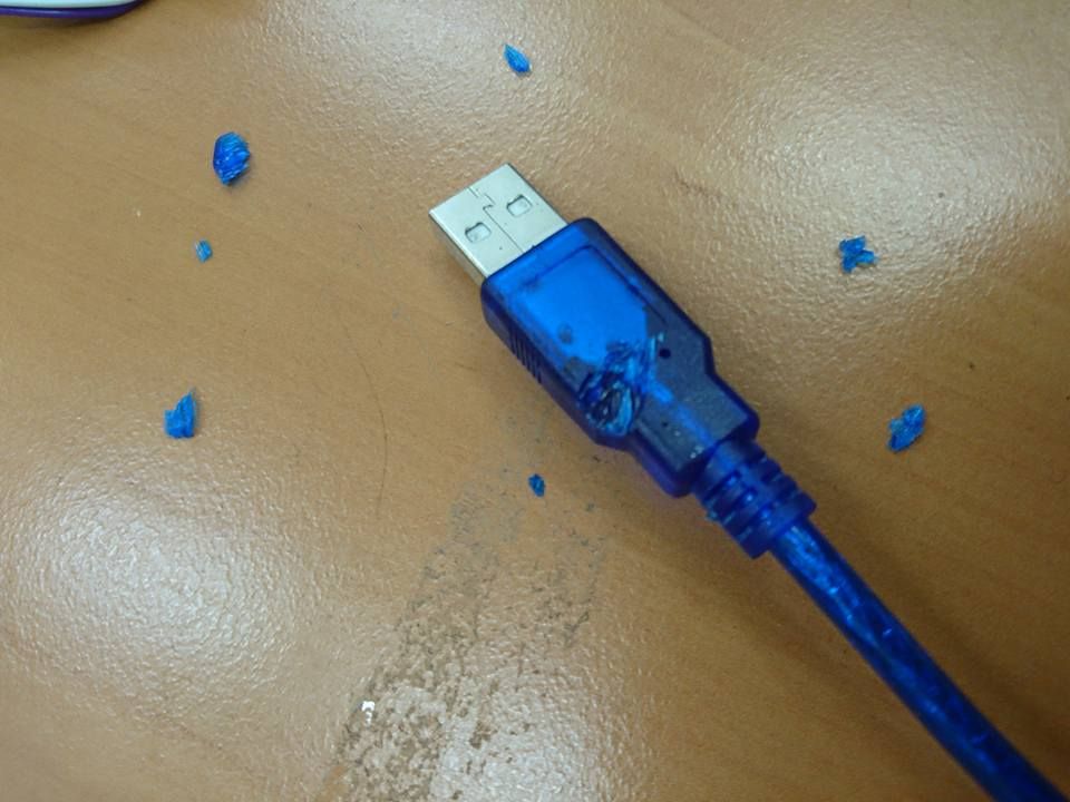 Desratizaciones Sur S.L. cable 