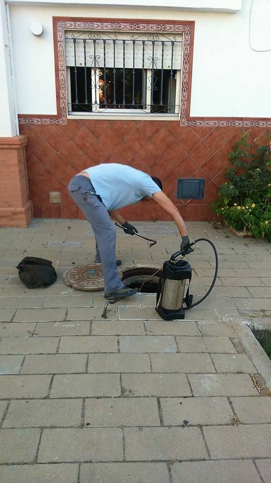 Desratizaciones Sur S.L. hombre en alcantarilla