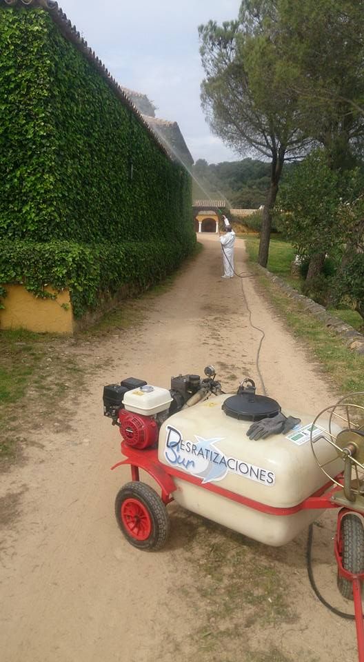 Desratizaciones Sur S.L. hombre fumigando zonas verdes