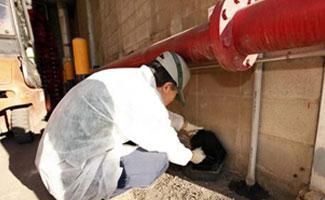 Desratizaciones Sur S.L. hombre en bodega